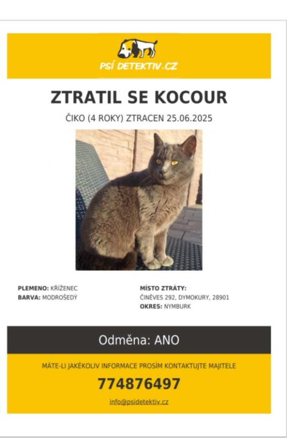 Ztracený kocour