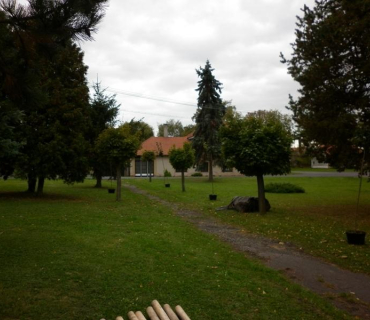 Výsadba stromů 11.10.2011