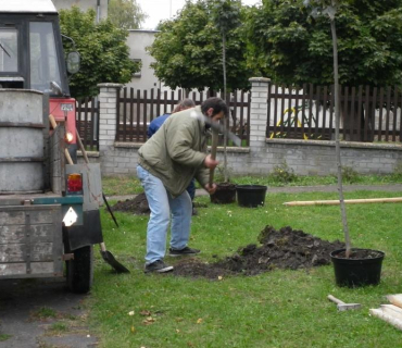 Výsadba stromů 11.10.2011