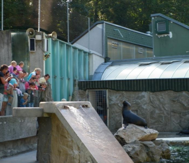 Výlet ZOO 3.9.2011